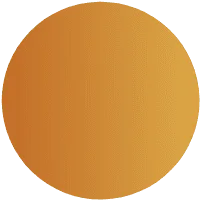demo-attachment-571-Ellipse-7